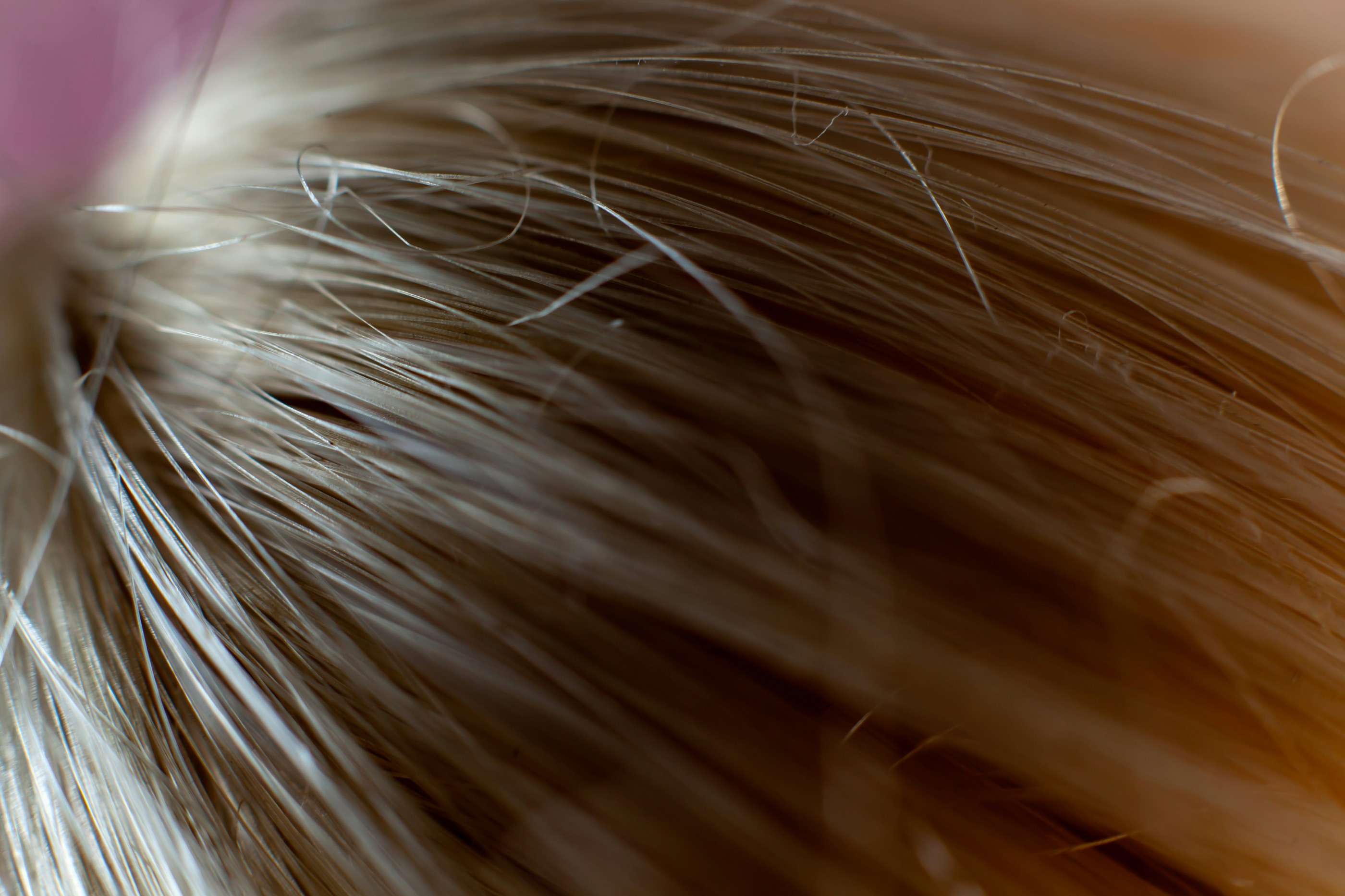 Close-up of smooth, light brown hair strands catching warm light